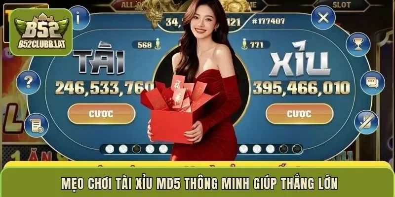 Mẹo chơi Tài xỉu MD5 thông minh giúp thắng lớn